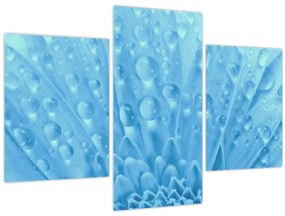 Tablou - Macro împușcat de o floare (90x60 cm)