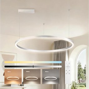Brilagi-LED reglabil, lustru suspendat pe cablu PORTOFINO LED/60W/230V, diametru 80 cm, argintiu + telecomandă