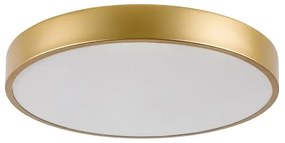 Rabalux 71037 - Plafonieră LED TESIA LED/36W/230V 3000K