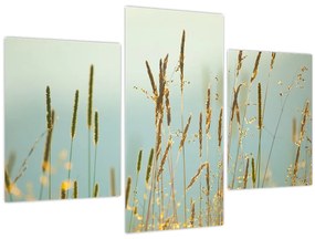 Tablou - Luncă (90x60 cm)