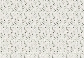 Fototapet - Frunze delicate (147x102 cm)
