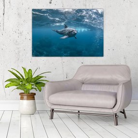 Tablou - Delfin sub apă (90x60 cm)