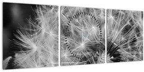 Tablou - mulțime de păpădii (cu ceas) (90x30 cm)