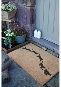Covoraș de intrare din fibre de nucă de cocos 40x60 cm Jumping Cats – Artsy Doormats