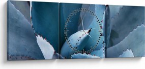 Tablou - Agave (cu ceas) (90x30 cm)