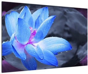 Tablou florilor în detailu (90x60 cm)