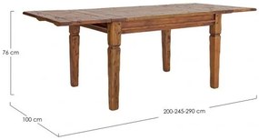 Masa dining extensibila pentru 12 persoane antichizata din lemn de Acacia, 200-290 cm, Chateaux Bizzotto