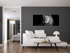 Tablou - Leu, alb și negru (120x50 cm)