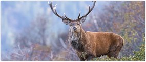 Tablou - Cerb în peisaj (120x50 cm)