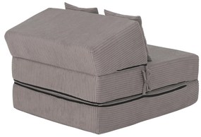 Fotoliu extensibil Plantearan (gri) . 1116447