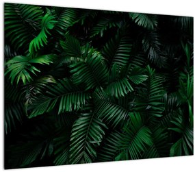 Tablou pe sticlă - Păpădii tropicale (70x50 cm)