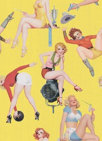 Tapet MINDTHEGAP ,   PIN-UP GIRLS