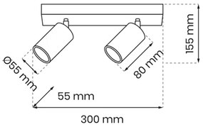 Spot HUDSON 2xGU10/8W/230V negru