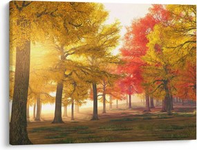 Tablou cu copaci toamna (70x50 cm)
