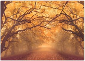 Tablou - Peisaj de toamnă cu drum (70x50 cm)