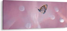 Tablou - Fluture (120x50 cm)