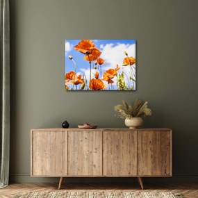 Tablou cu macii (70x50 cm)