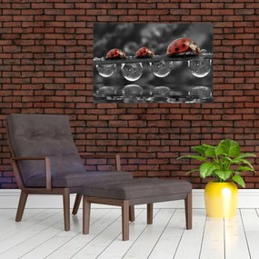 Tablou - Floarea-soarelui, alb și negru (90x60 cm)