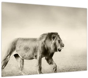Tablou - Leul flămând (70x50 cm)