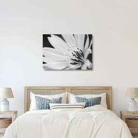 Tablou pe sticlă - Floare albă și neagră (70x50 cm)