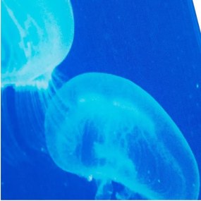 Tablou decorativ imagine imprimata pe sticla, Meduse 60x80cm Quallen A-37413 VC