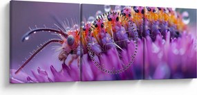 Tablou - Caterpillar (cu ceas) (90x30 cm)