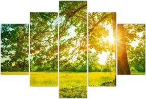 Tablou - Pădurea însorită (150x105 cm)