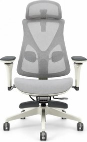 Scaun ergonomic ANEW ARYSE D3, Suport Lombar Trio Dinamic , Cotiere 5D Dual-Axis, Tetieră Reglabilă, Mecanism Sensibil la Greutate cu Seat-Slider, Suport Picioare, Mesh, Gri