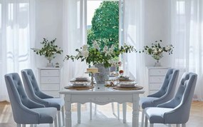 Scaun lemn masiv Dining Paris Blue/Beige, 56 × 65 × 98 cm - Beige