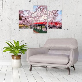 Tablou - Hirosaki, Japonia (90x60 cm)