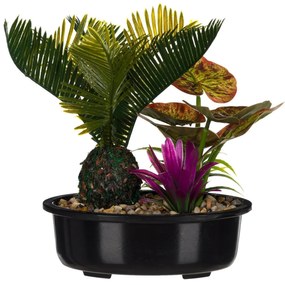 Ghiveci decorativ cu diverse plante - 22cm