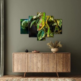 Tablou cu cameleon (150x105 cm)