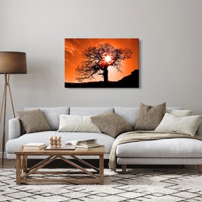 Tablou - Fag la apus de soare (90x60 cm)