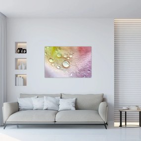 Tablou - Picături (90x60 cm)