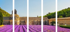 Tablou 5-piese Provence cu câmpuri de lavandă