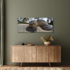 Tablou cu broască țestoasă (120x50 cm)