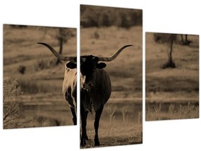 Tablou - Vacă din Texas (90x60 cm)