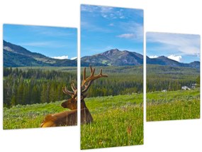 Tablou - Cerb în luncă (90x60 cm)