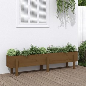 vidaXL Strat înălțat de grădină maro miere 160x30x38 cm lemn masiv pin