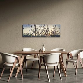 Tablou cu flori de câmp (cu ceas) (90x30 cm)