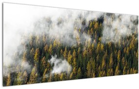 Tablou - Pădure în nori (120x50 cm)