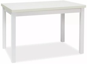 Masa Adam alb mat L120xl68 cm