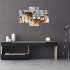 Tablou - Cerbi (90x60 cm)