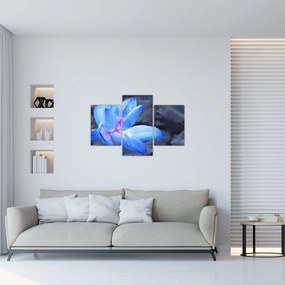 Tablou florilor în detailu (90x60 cm)