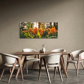 Tablou - florile lalelelor (120x50 cm)