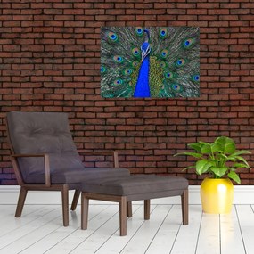 Tablou - Păun (70x50 cm)