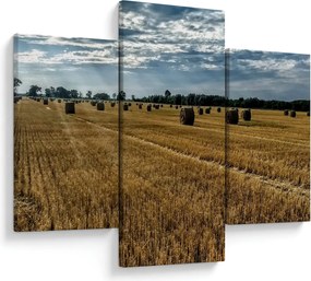 Tablou cu câmp recoltat (90x60 cm)