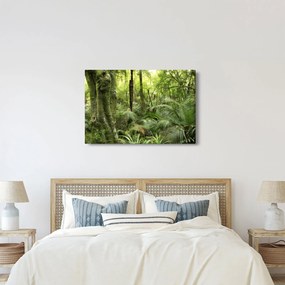 Tablou - Pădure tropicală (90x60 cm)