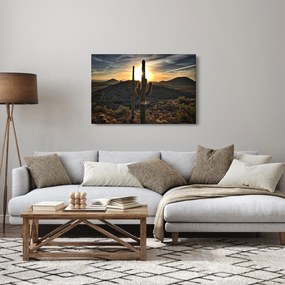 Tablou - cactușii la soare (90x60 cm)