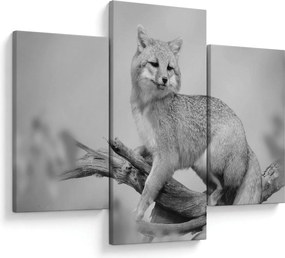 Tablou - Vulpe gri (90x60 cm)
